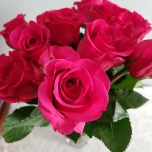 Meet your Posher, Joni